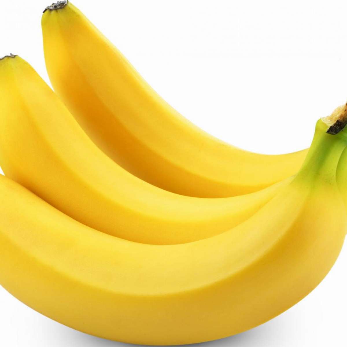 bananes cavendish le kilo