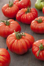 tomates marmande les 500gr