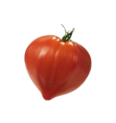 tomates  coeur de boeuf les 500gr
