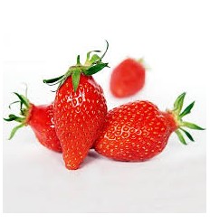 fraises gariguette la bq 250 gr